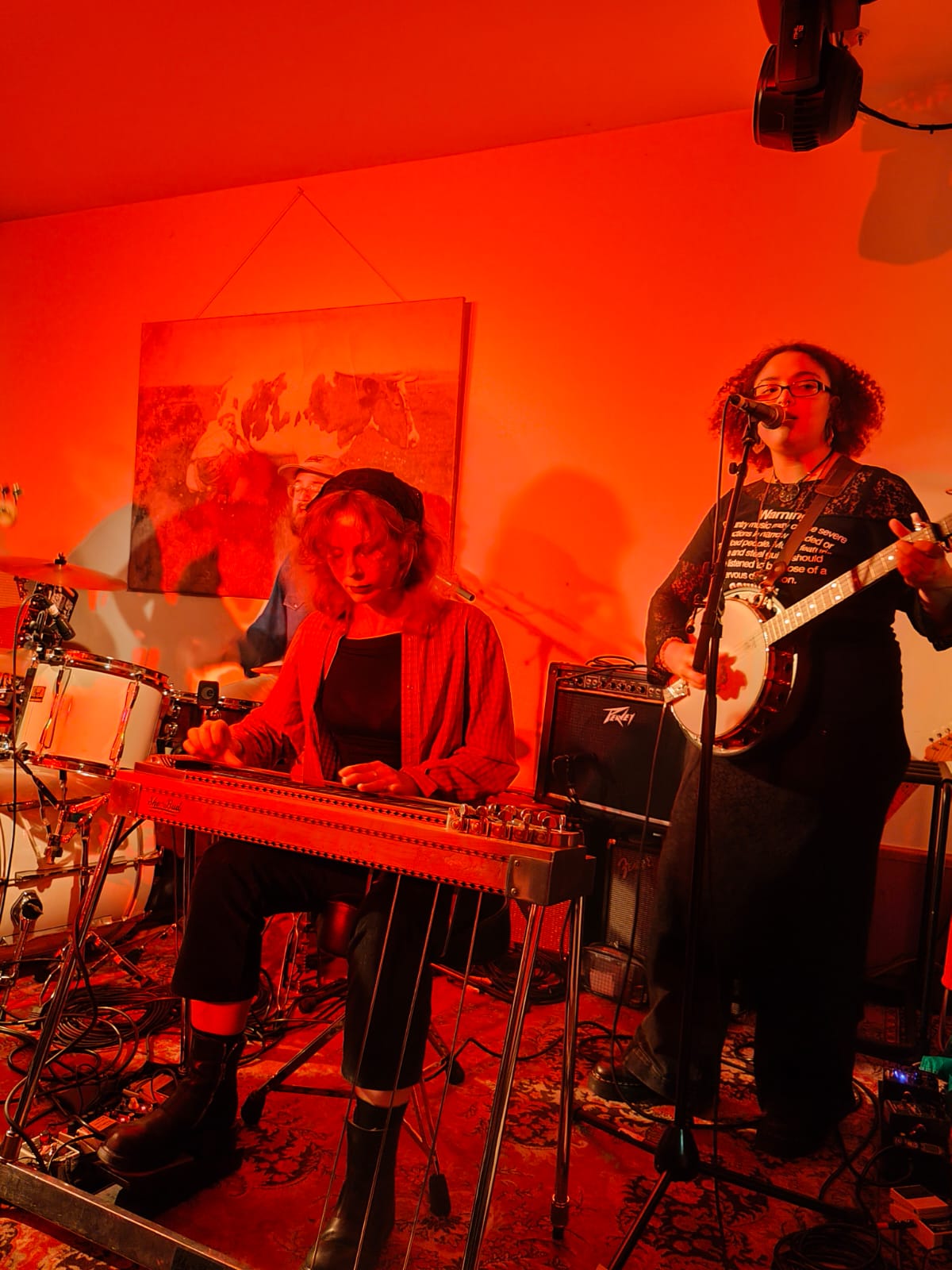 BrownHorse2025-10-31HaldernPopBarGermany (2).jpg